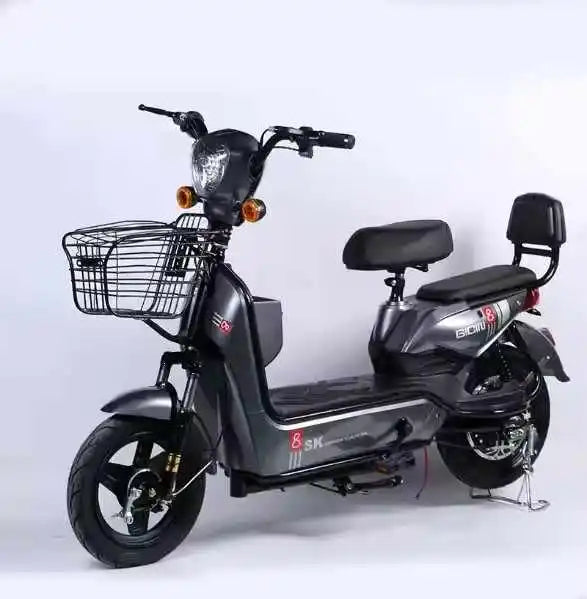 Electric Two-wheeler E Bike E Bicycle 500W Electric Bike Electric Bicycle with 48V/60V Lead- Acid Battery for Adults