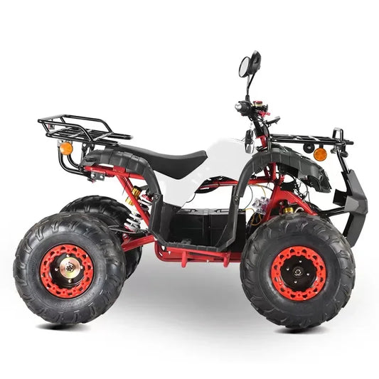 60V 2000W Electric ATV Electric Start Quad Bike Shaft Drive with Disc Brake for Adult EEC COC